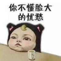 胖猫脸     U