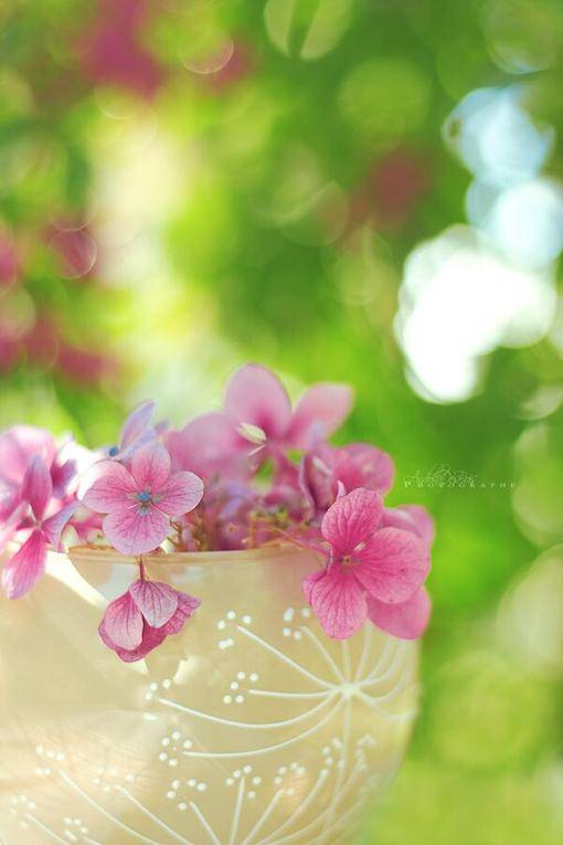 你是深海我已溺水