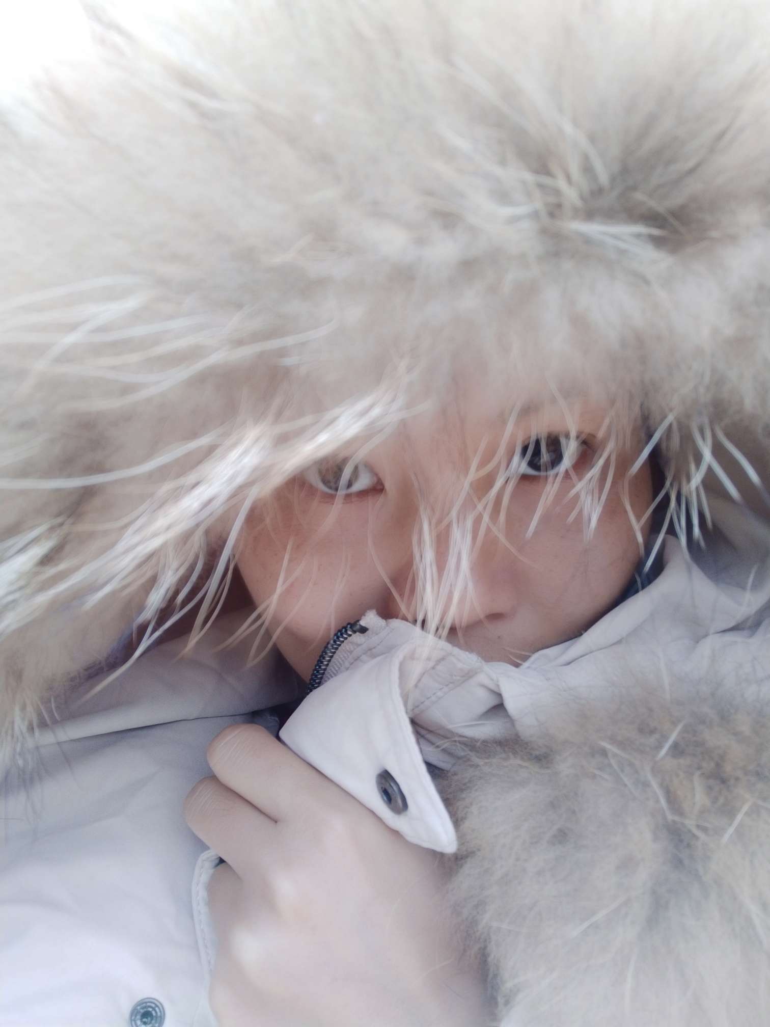 日光微暖、夜微凉