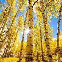 wx_6632769036