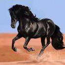 烧完美好青春换一个老伴。