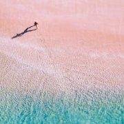 小卓子不请安_zo