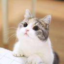 天空微晴丶梦唯美