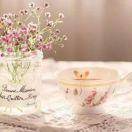 心若放晴，何惧风雨