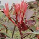 风雨过后是彩虹     