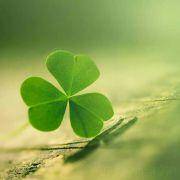 云淡风轻近午天静静静