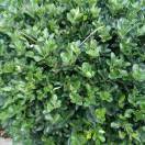 觅友_B2569391D7340