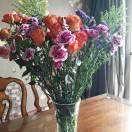 觅友_T5515658Q9698