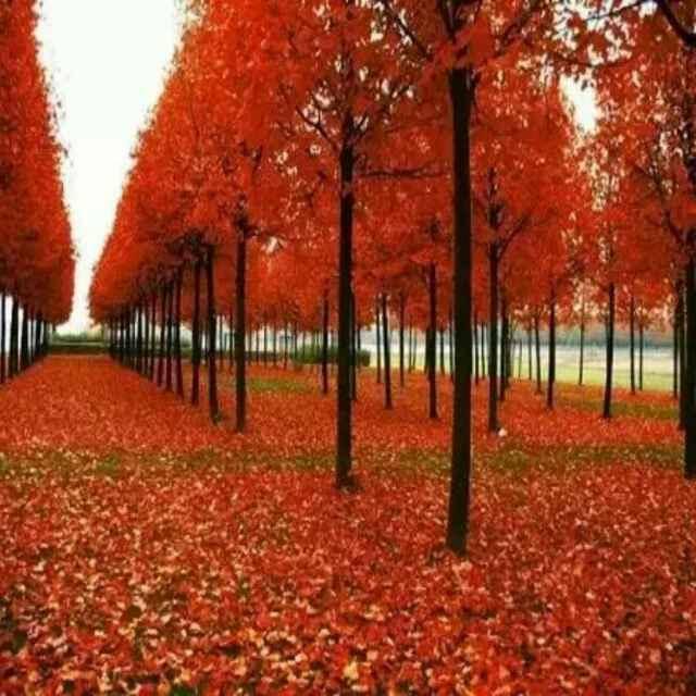 吃亏是福！！！