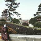 觅友_I39785T059249