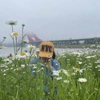 倍伴是最好的告白