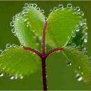 平安快乐每一天666