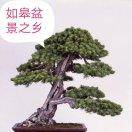 一生所求，平安快乐