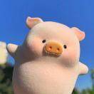 雅子是丫子不是鸭子