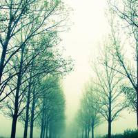 wx_3617807928