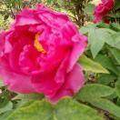 贾氏专治歪嘴138****5876