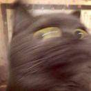 每个人都要健康