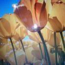 要做有强大微信的民族