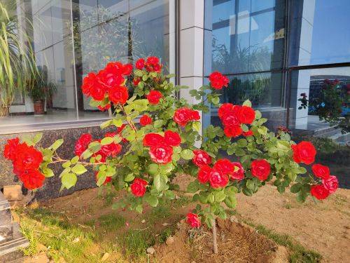 风雨变化，也要乐享生活