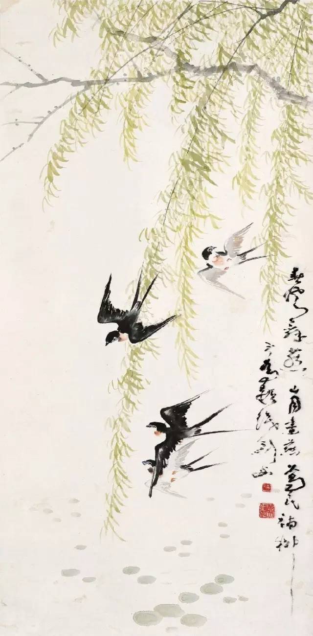 紫藤花的阳光