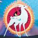 硕苒（199****2271）