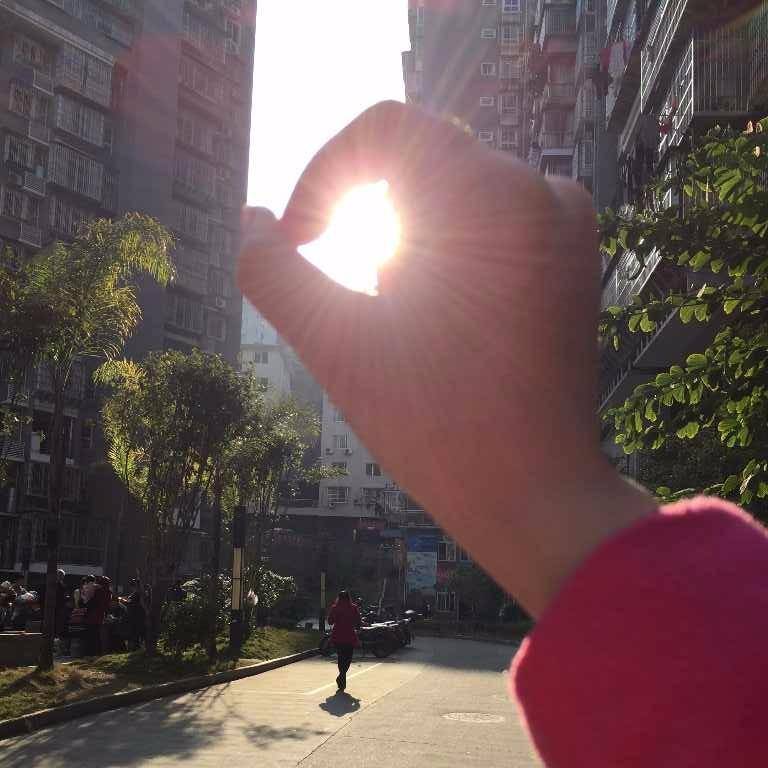 燕子de成长旅程