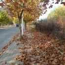 二十四桥看明月，