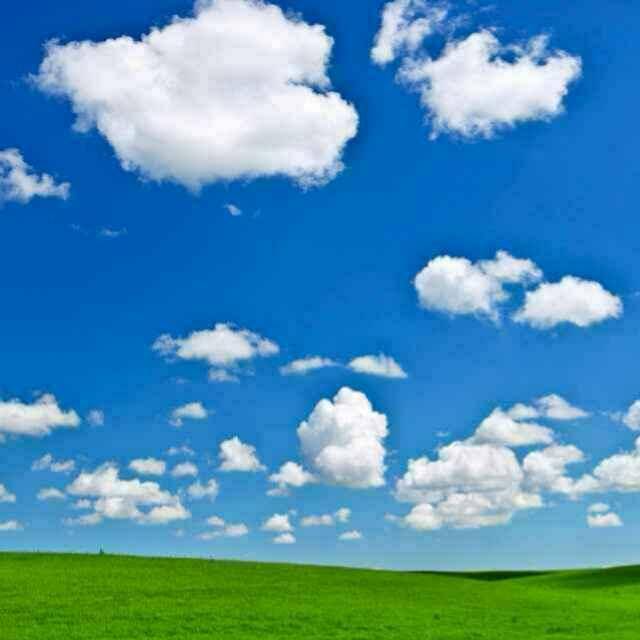 白云飘飘4339