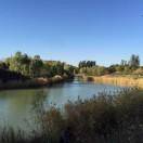 江月年年只相似