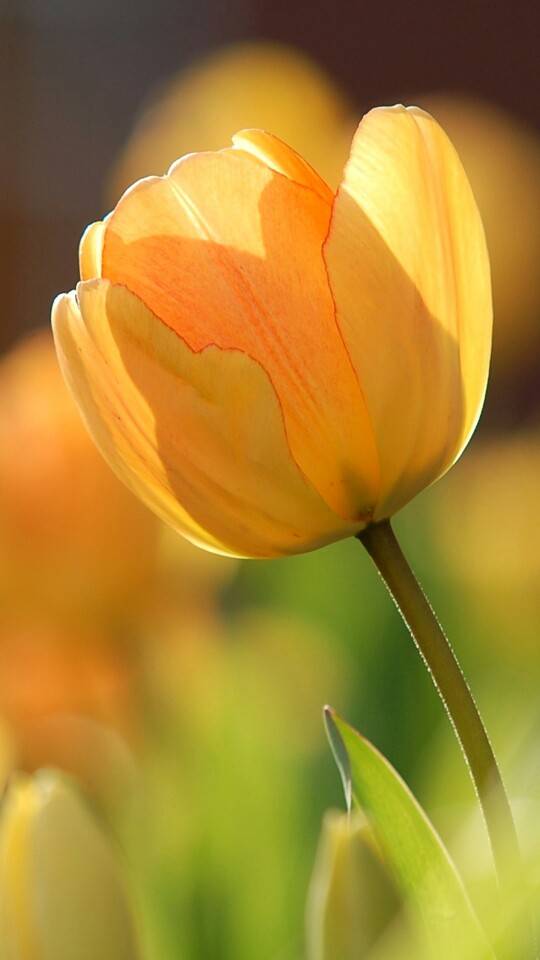 让笑容一直延续