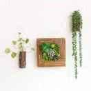 因为我是我3笑而不语4