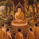 修来都是福争来都是祸1580585980