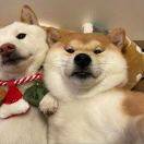 对方正在输入.......5319