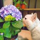 珠圆玉润说谁呢