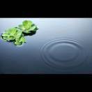 可耐的数据线4115