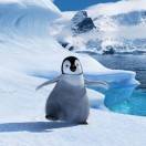 心向阳光，开心过好每一天