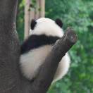 春风十里不如你จุ๊บ