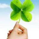 土土：平安快乐