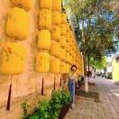 ʚ ྀིɞ陈小樂