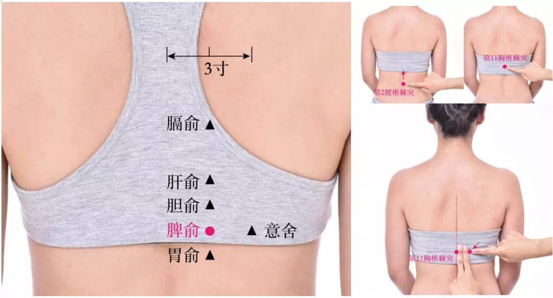 当乳房遇上艾灸 艾灸在乳房疾病中的运用 乳腺癌康复圈 觅健