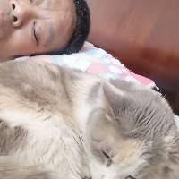 猫的姥爷
猫的姥爷