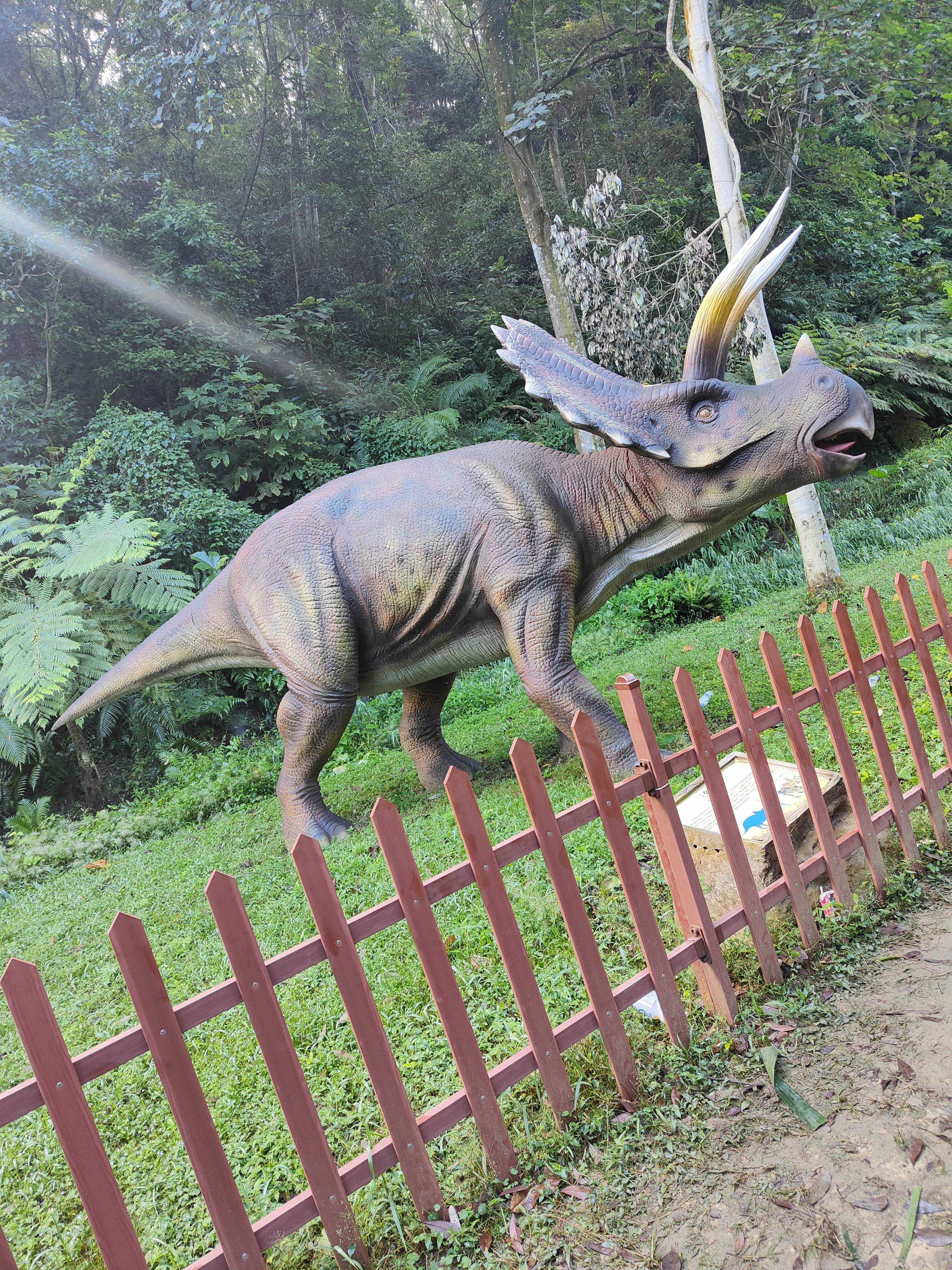 增城二龙山游玩