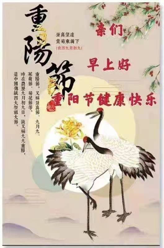 重阳节早上好图片图片