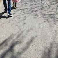 用心生活，明天会更好