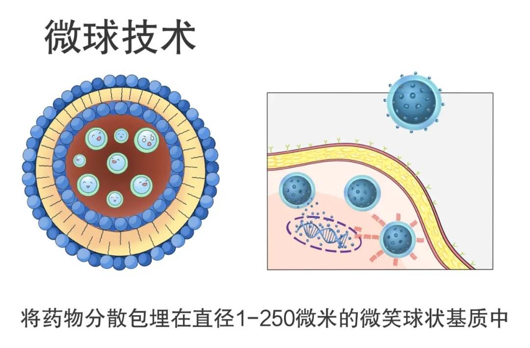 首先微粒的包封率不高,粒径大小不一,而微球粒径大小对药物的释放速度