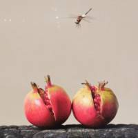 漫步遐想
漫步遐想