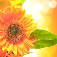 翟元星的艾通灵1023