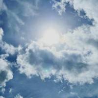 干净的电影票2389