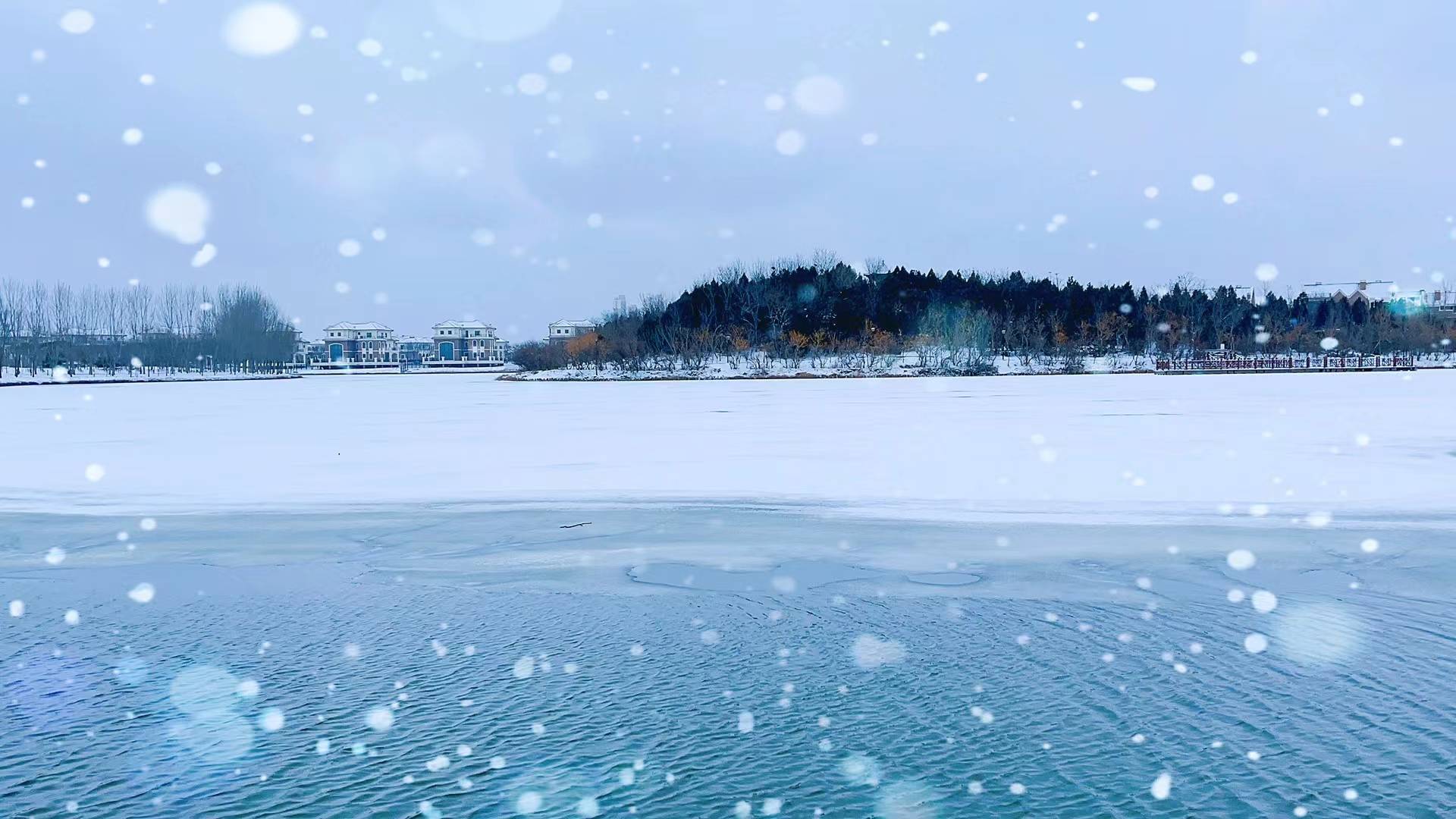 天津下雪图片大全图片