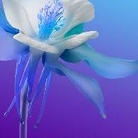 激动的冰淇淋388